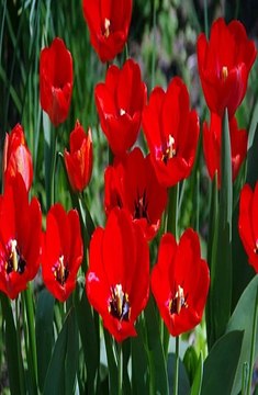 인터넷배팅사이트 SuperCAR123.COM 가입코드: 6623 온라인프로토