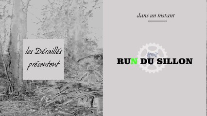 RUN DU SILLON - 2016