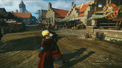 The witcher 3 Hearts of Stone, parte 131, Encontrandome con Shani y luchando contra el Sapo