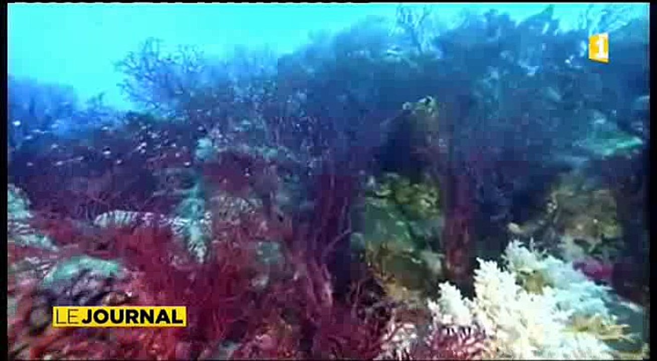Sciences : Tara met le cap sur le Pacifique
