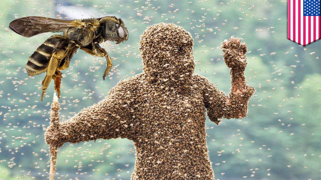 Swarm of killer bees stings hiker to death in A...