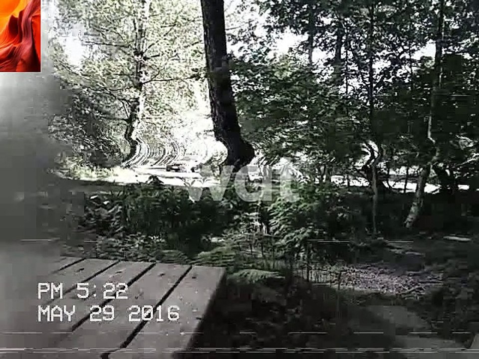 VID-20160530-WA0002