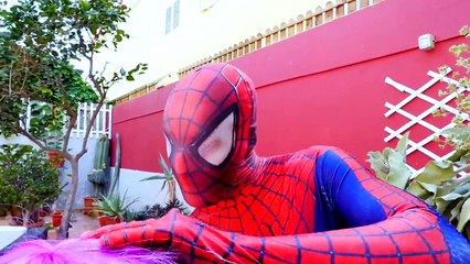 Người Nhện, Siêu Nhân, Spiderman and Elsa, Evil cut Elsa's Hair, Spiderman funny