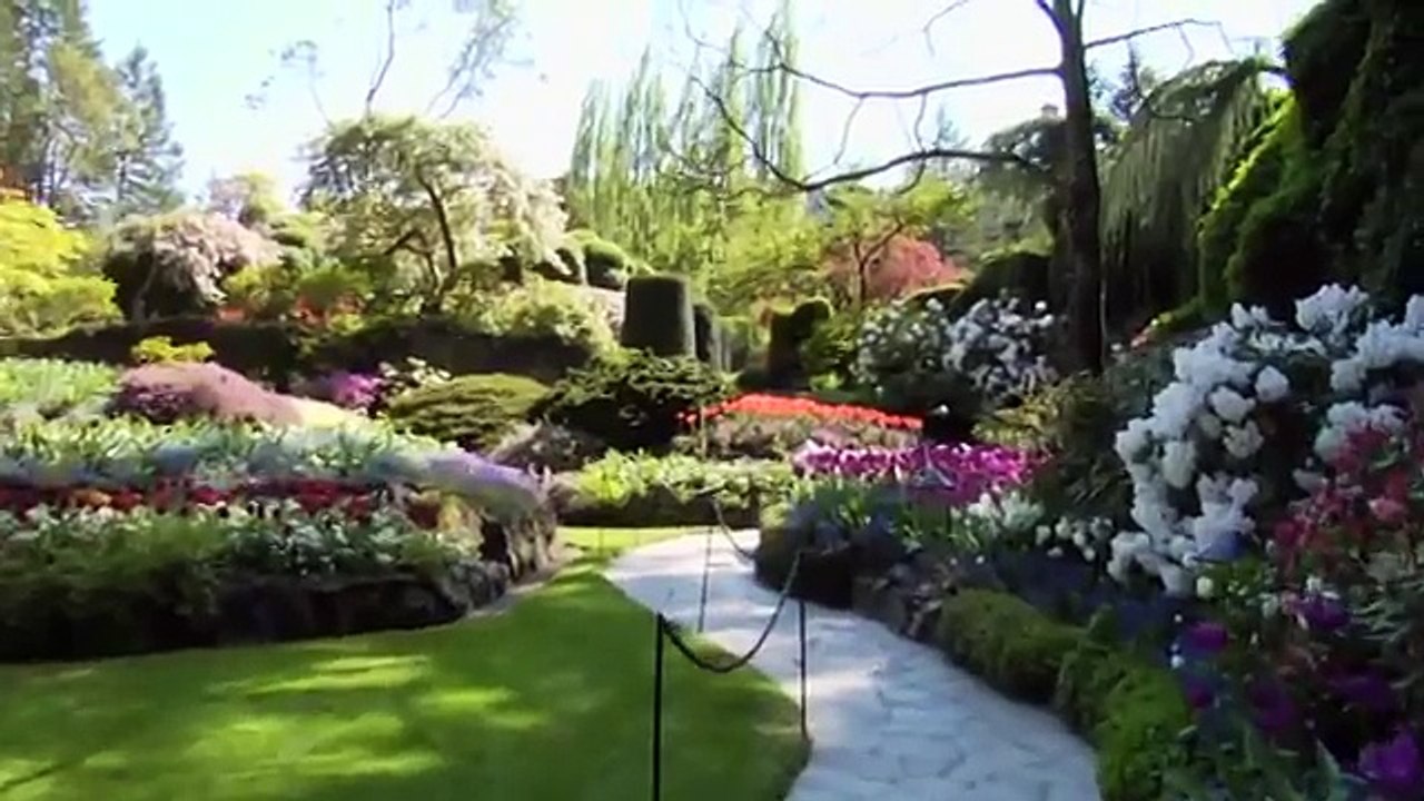 Cosmos Coach Touring North America