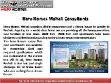 Hero homes flats Mohali