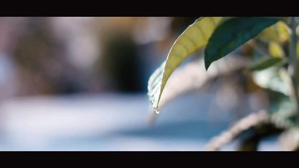 Ufuk Çakır - Kanarım