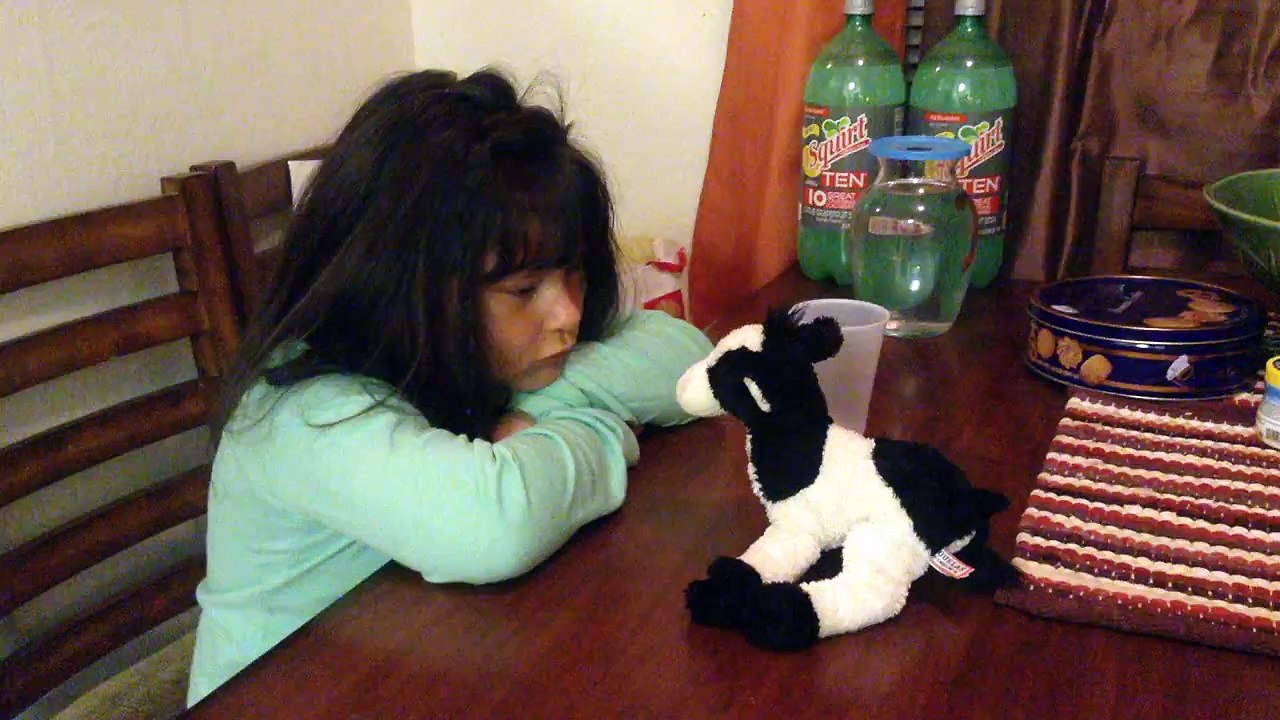 How to milk a cow (plush edition) Camila