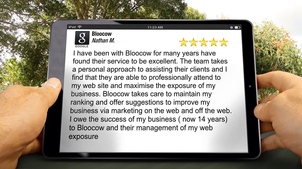 Bloocow Perth Incredible 5 Star Review by Nathan M.