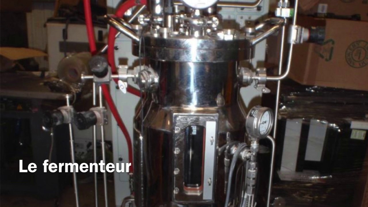 Fermenteur