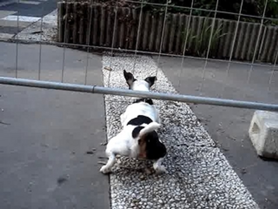 rampé au sol