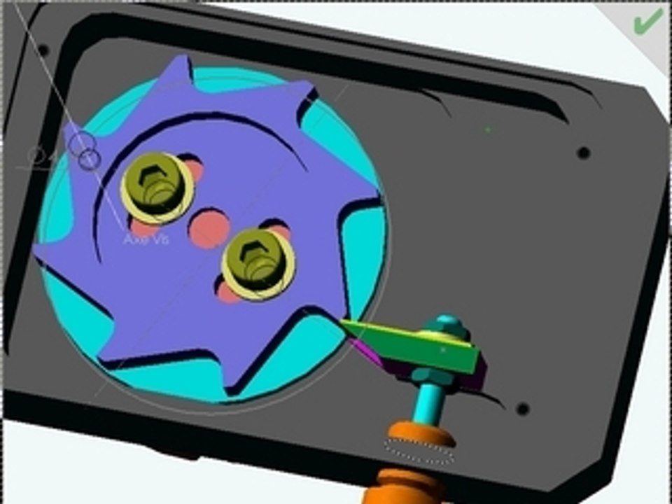 Anim