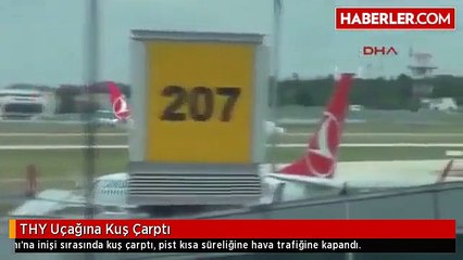 THY Uçağına Kuş Çarptı