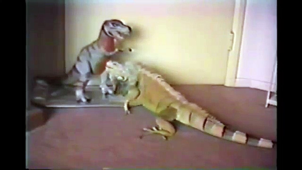 Godzilla vs  T Rex