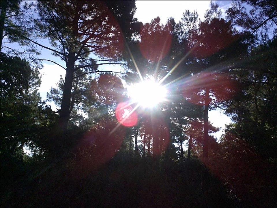 Balade en montagne