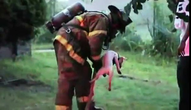 Rischiano la vita per salvare una mamma e il suo cucciolo!