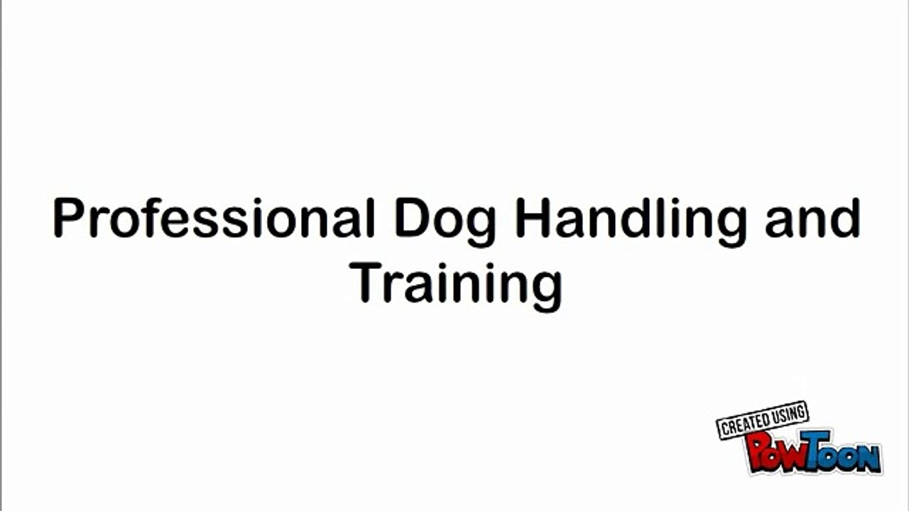 Professional Dog Handling and Training