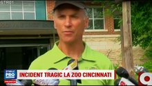 O gorila a fost impuscata dupa ce un baietel a cazut in tarcul animalului, la zoo. Ce a incercat sa faca animalul
