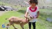 Cute!!! Little girl feeding a baby deer