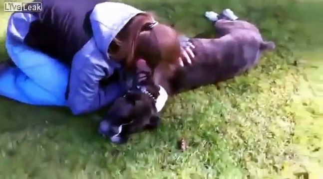 Stava per morire ma l'addestratore fa qualcosa di miracoloso e lo salva.