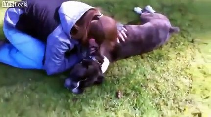 Stava per morire ma l'addestratore fa qualcosa di miracoloso e lo salva.