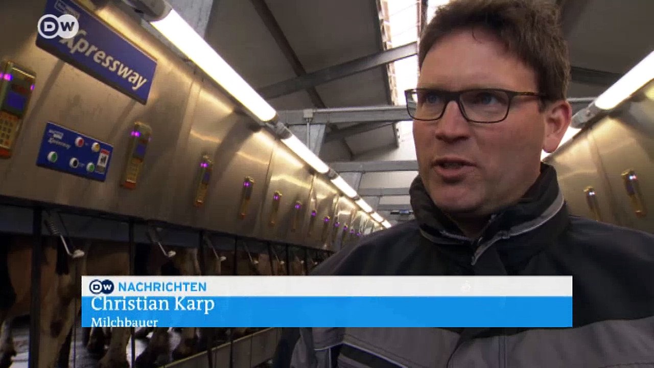 Die Kuh Emmelie und der Verfall des Milchpreises | Wirtschaft