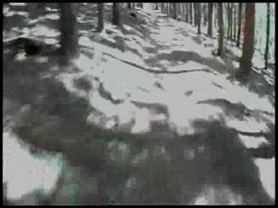 Helmcam Samsung X 300 L Singletrail Lahr