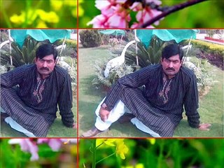 Men-Jena-Tere-Naal-Jewan-Din-Chaar-Songs Milk Abid Abbas