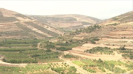 مخططات لشق طريق استيطاني عبر مزارع بالخليل