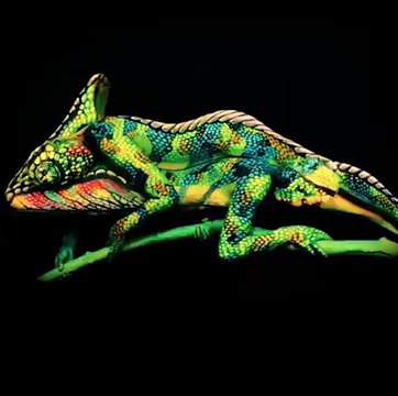 Les apparences sont parfois trompeuses