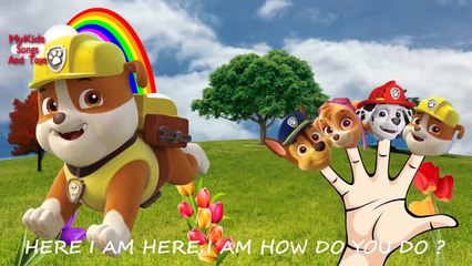 Peppa Pig Balloons Show Finger Family Collection   Nursery Rhymes   15 Minutes