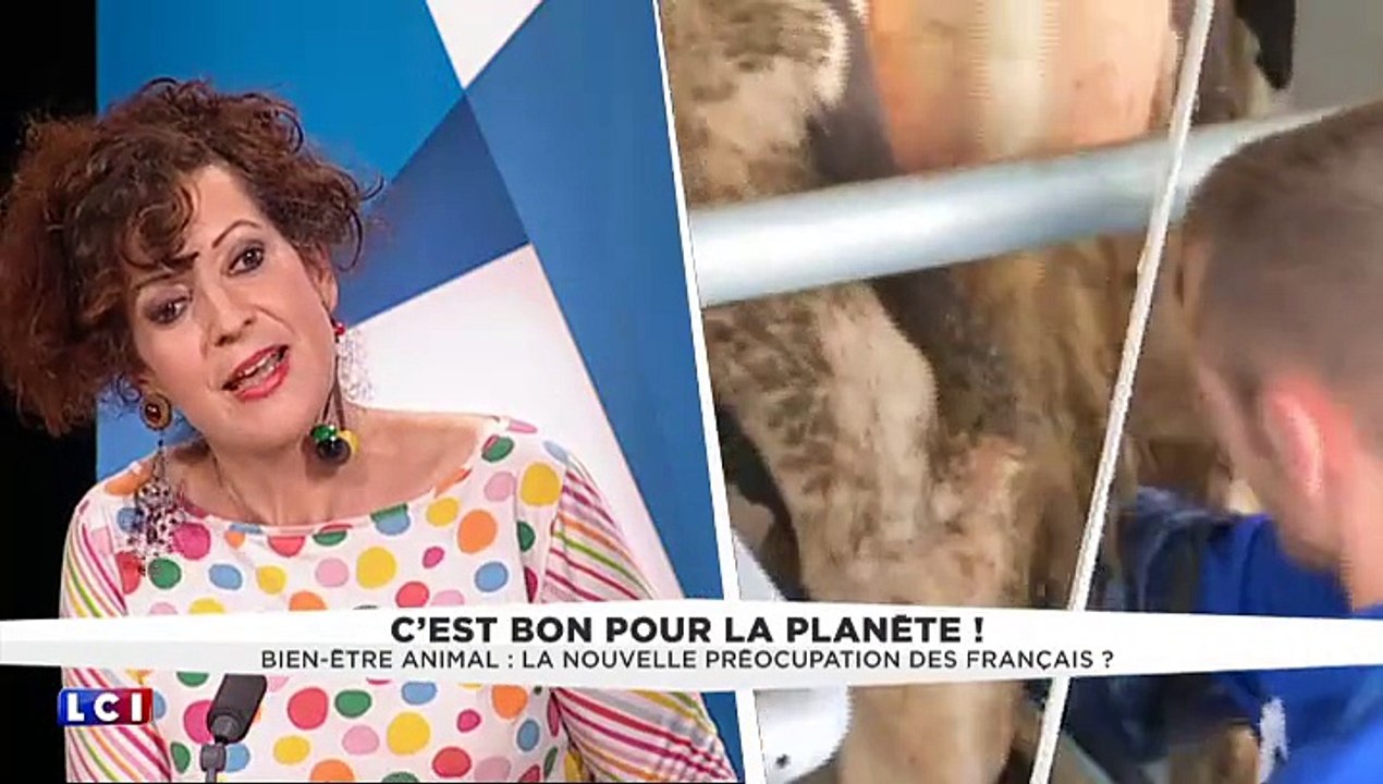 Bien-être animal notre devoir!