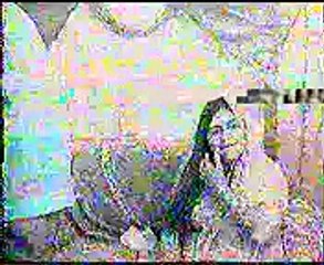 Shadi Adrees Zafar USA