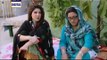 Bulbulay /بلبلے Episode 287 part2