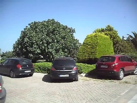 DİDİM BEACH RESORT & SPA