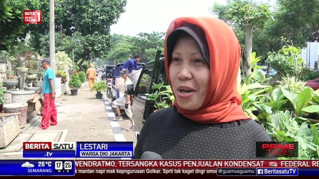 Ratusan Pedagang Tanaman di Senayan Ditertibkan
