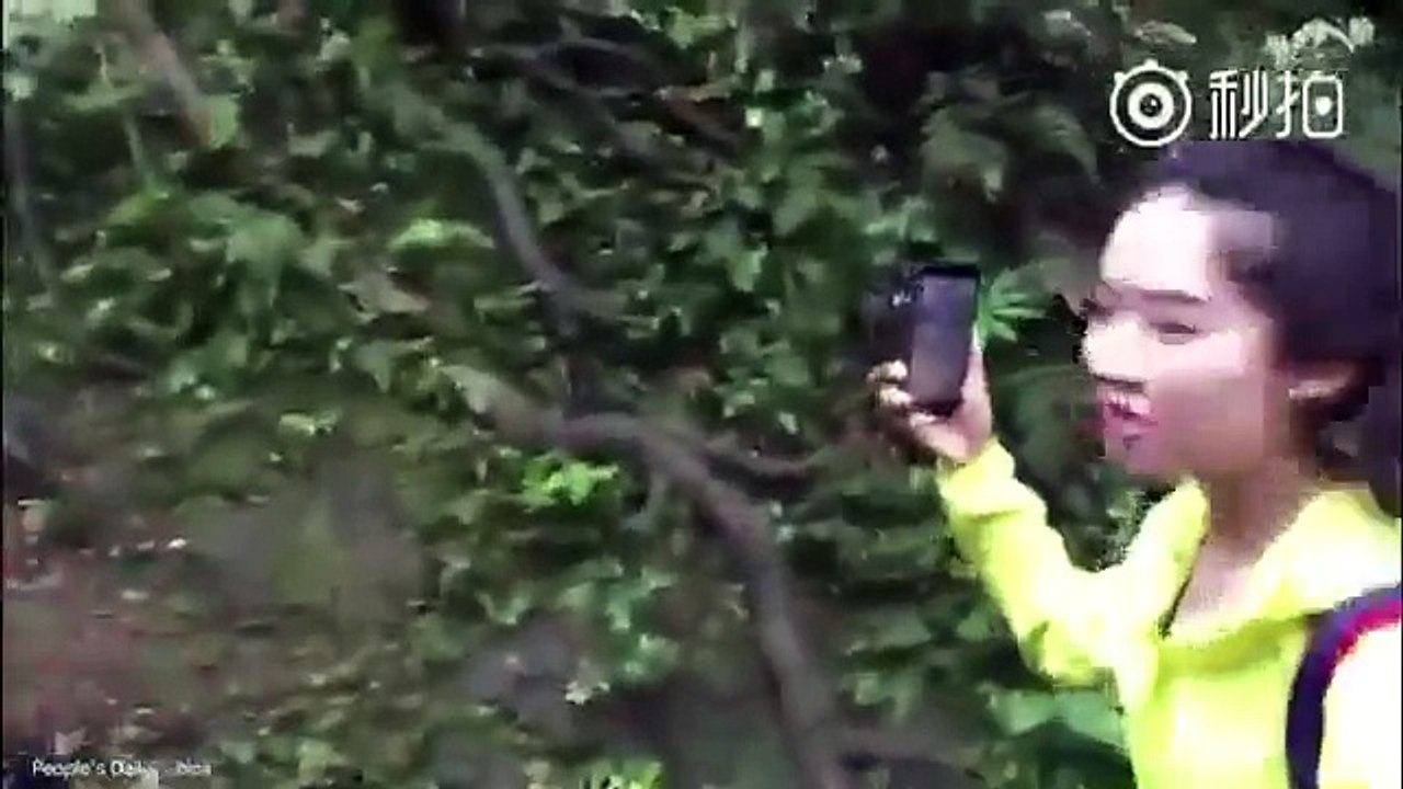 ОБЕЗЬЯНА УВЕЛА ТЕЛЕФОН - ЖЕСТЬ!