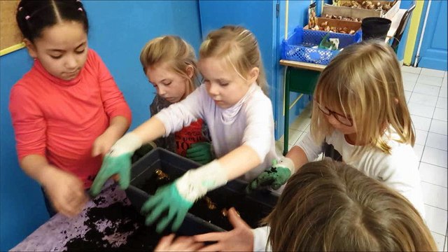 plantations ce1 école J.Prévert Berck/mer 2015-2016