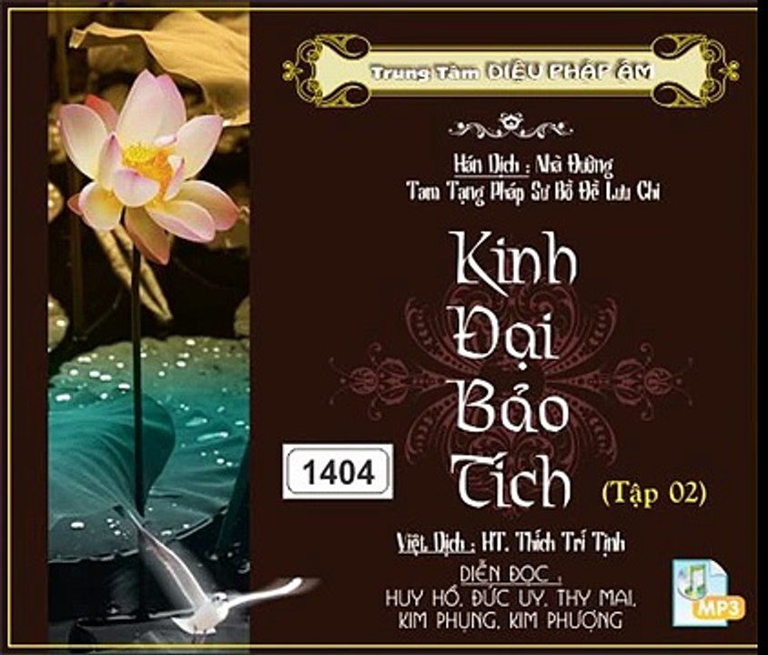 17/22, Pháp hội: Xuất Hiện Quang Minh (HQ) | Kinh Đại Bảo Tích tập 02