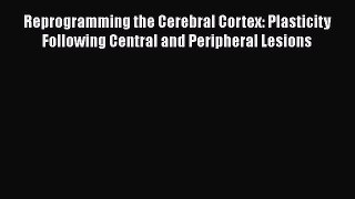Read Reprogramming the Cerebral Cortex: Plasticity Following Central and Peripheral Lesions