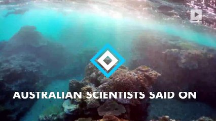 Watch: Great Barrier Reef at risk of dying within 20 years