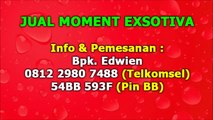 0812 2980 7488 (Telkomsel), Moment Exotica Adalah