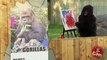 Funniest Gorilla and Mouse Pranks - Best Of Just For Laughs Gags