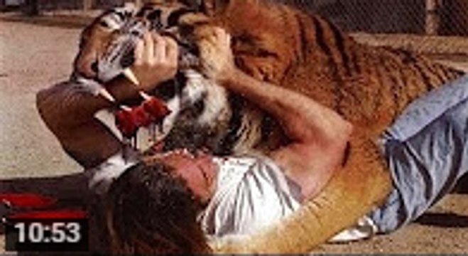 بالفيديو هجمات الحيوانات الغير متوقعة على البشر_ التمساح والأسد والأفعى والدب - جديد2016