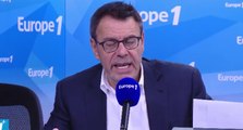 Pensions et ballades pour chiens: quelques conseils de natacha harry chez jean-marc morandini sur europe 1