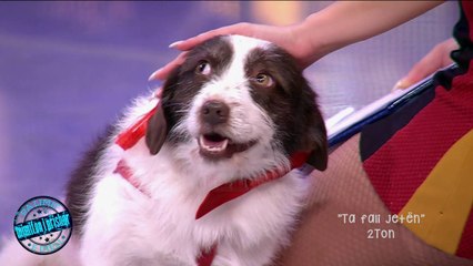 Highlights, E Diell 29/05/2016 - Pa limit (Mimifoni i prishur)