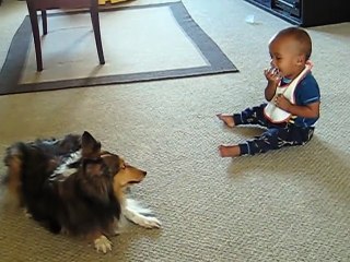 Excited dog makes baby laugh!