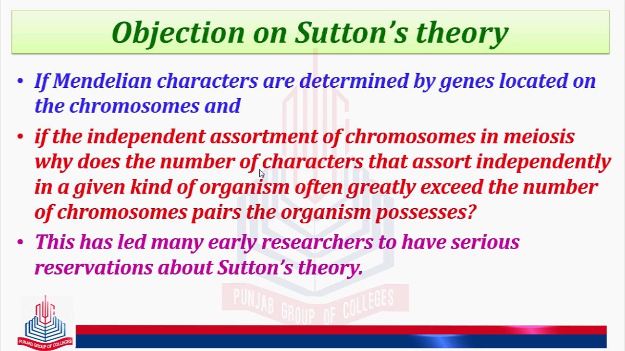 PATTERN DURING DIVISION