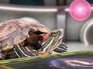 Teenage Mutant Ninja Turtles : les Tortues Ninja | Archie dans l'espace épisode 10 | NICKELODEON