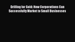EBOOKONLINEDrilling for Gold: How Corporations Can Successfully Market to Small BusinessesREADONLINE