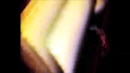 FINALI REGIONALI - ULTIMO ATTO - TRIONFANO I PIZZA STOP